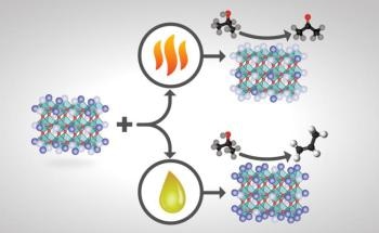 Customized Perovskite Catalysts Yield Distinct Products