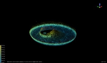 Researchers Carry Out Observations of Active Nematic on Toroidal Droplets