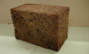 Tannins Extracted from Barks of Conifers Used to Make Adhesives and Composite Materials