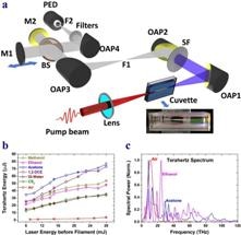 Researchers Devise High-Power Radiation Source in TeraHertz Region
