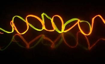Scientists Discover Technique for Producing Silk Fibers Stiffer than Natural Silk
