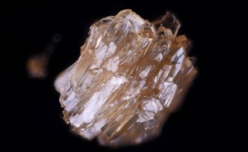Regulating Growth of Organic Crystals Using High-Powered Magnets for Use in Pharmaceutical Industry