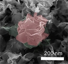 New Compound Could Reduce Cost of Hydrogen Fuel Cells