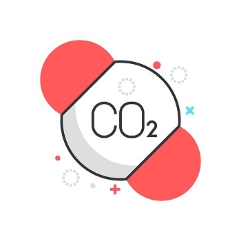 Carbon Dioxide: The Perfect Raw Material