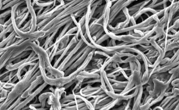 MIT Develops New Method to Create Strong, Resilient Nanofibers for Many Applications