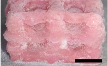 3D Printing Used to Form Super-Soft Structures for Making Replica Organs