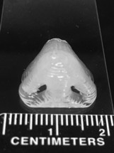 3D Printing to Enhance Cell Adhesion of PDMS Polymer