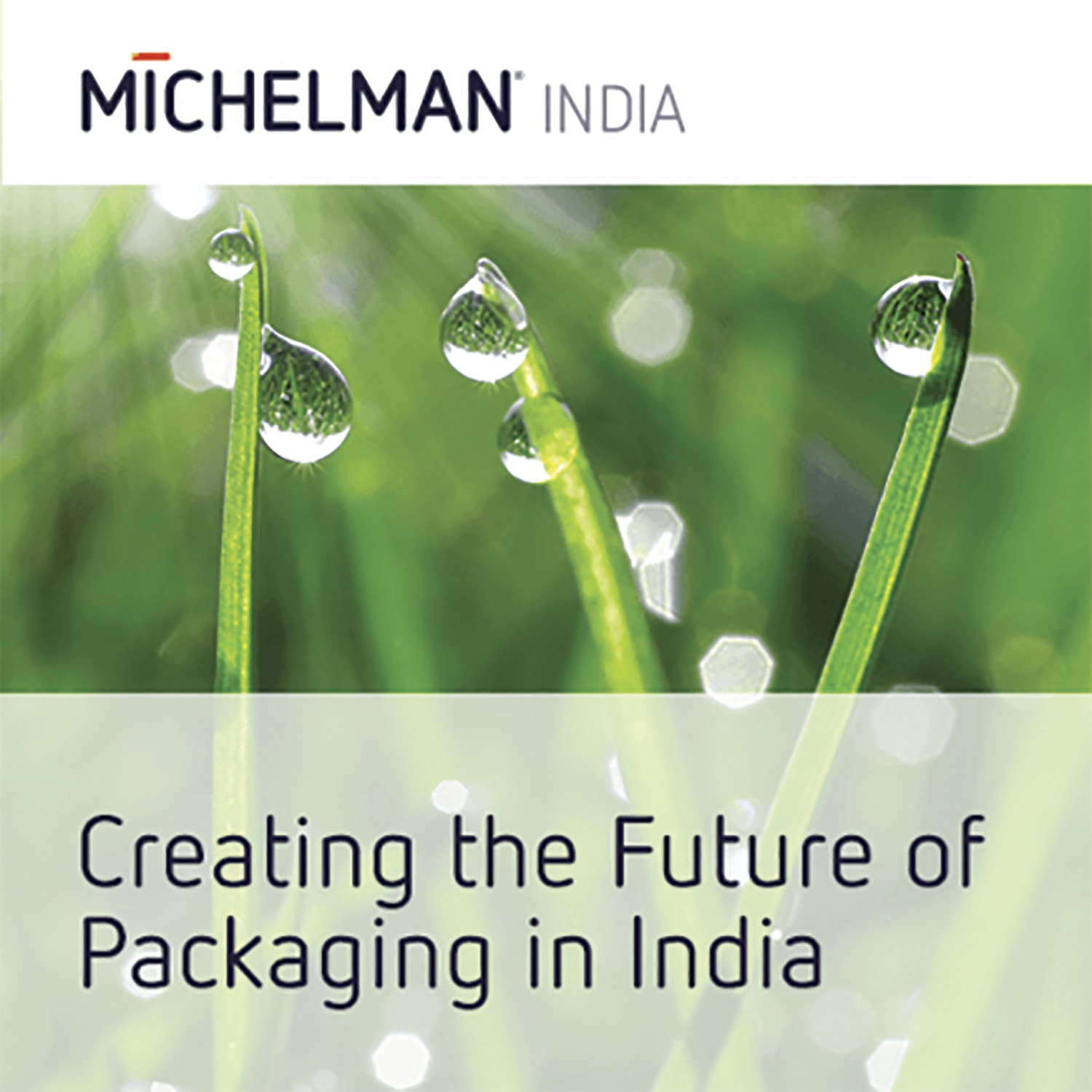 Michelman Innovation Centre for Coatings is Creating the Future of Packaging in India