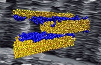 Researchers Simulate Polymer-Cement Composites to Discover Strongest, Toughest Materials