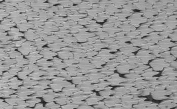 Bio-Inspired Vortex Generators to Improve Design of Drones, Planes & Wind Turbines