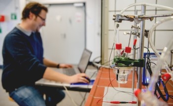 Catalyst for Fuel Cells with Resistance Against Destructive Oxygen