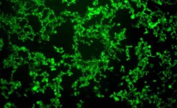 Precisely Ordered Biomaterials Could Be Used for Several Biomedical Applications