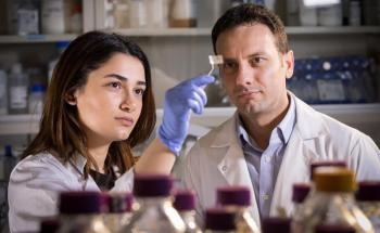 Transparent Patch to Detect Harmful Food Pathogens