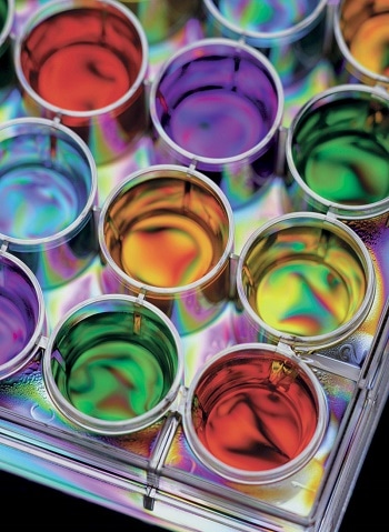 Filtration System Improves Quality of Paints & Coatings