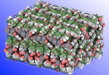 Innovative Water-Stable Metal-Organic Framework for Selective CO2 Adsorption