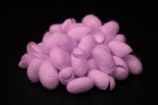 Combining Far-Red Fluorescent Silk and Green Light to Destroy Harmful Bacteria