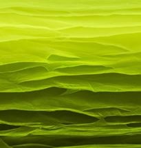 Strong, Super-Tough Carbon Sheets Fabricated at Low Temperature