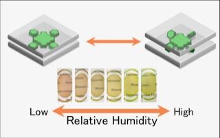 Color-Changing Transparent Hybrid Film Made of Natural Clay and Dye