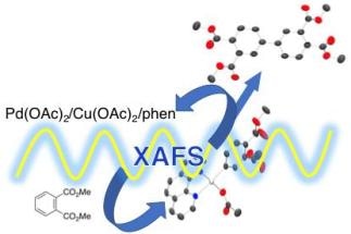 Synchrotron Radiations Reveal Mechanism for Industrially Used Catalysis of Aromatic Polyimide Precursor