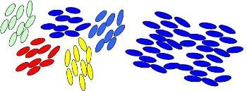 Theoretical Model for Detecting and Understanding Transition State in Liquid Crystals
