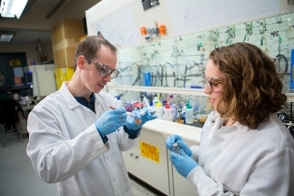 Self-Assembling Chemical Building Blocks Used to Create Catalyst for Hydrogen Fuel Cells