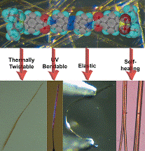 Novel Molecular, Soft Cocrystalline Material Bends and Twists Reversibly