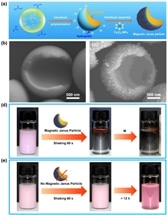 New Magnetic Janus Particles Facilitate Rapid Oil-Water Separation