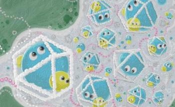 Researchers Control Manufacture of Stable Ultralight and Porous Gel