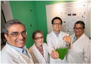Scientists Create Plants That Produce Their Own Fertilizer