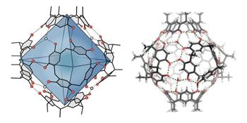 Chemists Develop a New Technique to Synthesize Terpenes that Imitate Nature