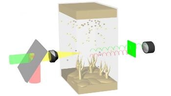 A Closer Look at Lithium Battery’s Black Box to Improve Safety