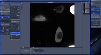 ZEISS shakes hands with PicoQuant – new software integration
