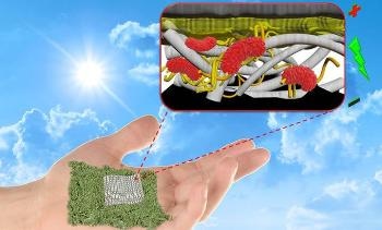 New Biodegradable, Self-Sustaining Paper-Based Biobatteries