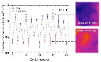 Researchers Discover Thermal Switch in Engineered Squid-Based Biomaterials