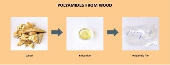 Transparent Bio-Based Polyamides with High-Thermal Stability