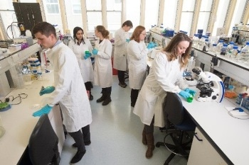 We are Delighted to Announce that BioSystems Technology have been Awarded an Innovate UK Health and Life Sciences Grant of £100,000