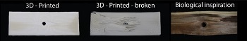 The Next Step for 3D Printing Inspired by Nature