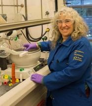 Researchers Develop Safer Nonmigratory Plasticizers that Do Not Contaminate Food and the Environment