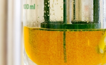 Manufacturing Everyday Products Using Fungi