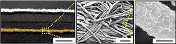 Gold-Covered, Cotton-Based Electrodes Could Improve Efficiency of Biofuel Cells
