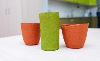 Researchers Have Created Disposable Edible Dishware Using Apple Puree