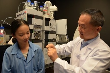 New Citrate-Based Biomaterial Aids in Bone Regeneration