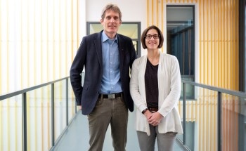 New Catalyst Could Help Produce Aromatic Amines for Efficient Manufacture of Pesticides and Drugs