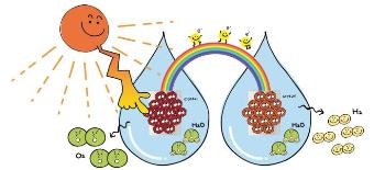 Novel Method for Producing Effective Photo Anodes to Achieve Efficient Artificial Photosynthesis
