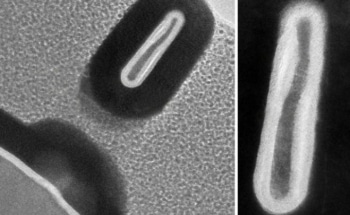Researchers Develop Smallest 3D Transistor to Enable Higher-Performance Electronics