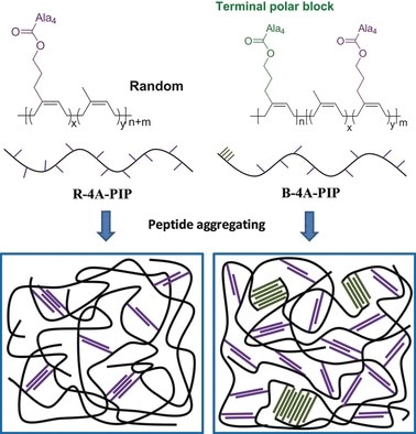 Proteins for Making Tough Rubber