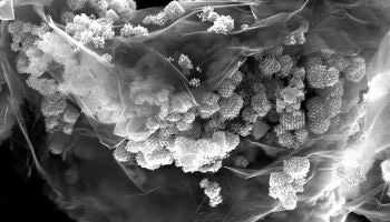 Novel Nanostructured Anode Material Could Extend Capacity and Cycle Life of Lithium-Ion Batteries