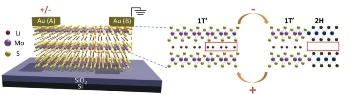 Novel Electronic Device Can Model Behaviors of Synapses in the Brain