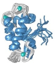 Novel Protein Could be Used to Detect and Collect Rare-Earth Metals Used in Smartphone