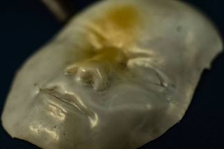 New Shape-Shifting Material Shows Promise for Soft Robots and Biomedical Applications